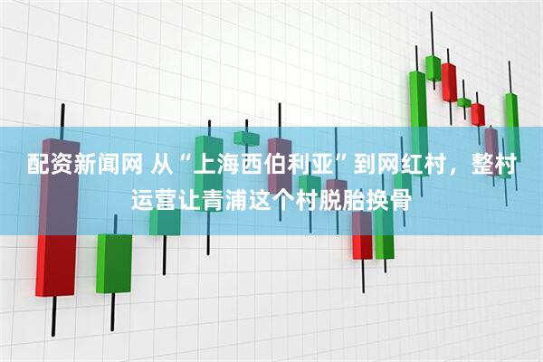 配资新闻网 从“上海西伯利亚”到网红村，整村运营让青浦这个村脱胎换骨